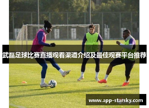 武磊足球比赛直播观看渠道介绍及最佳观赛平台推荐